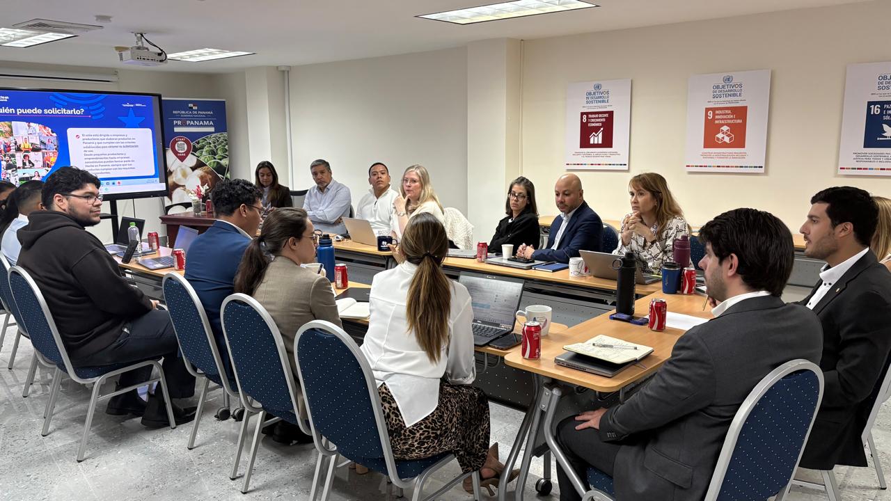 Reunión de coordinación estratégica, Oficina PROPANAMA